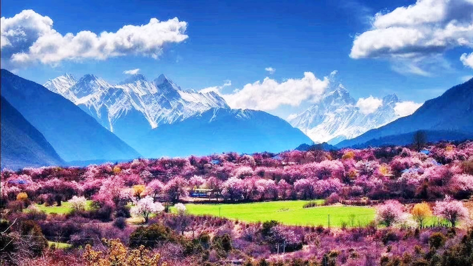 桃花源1 2.JPG