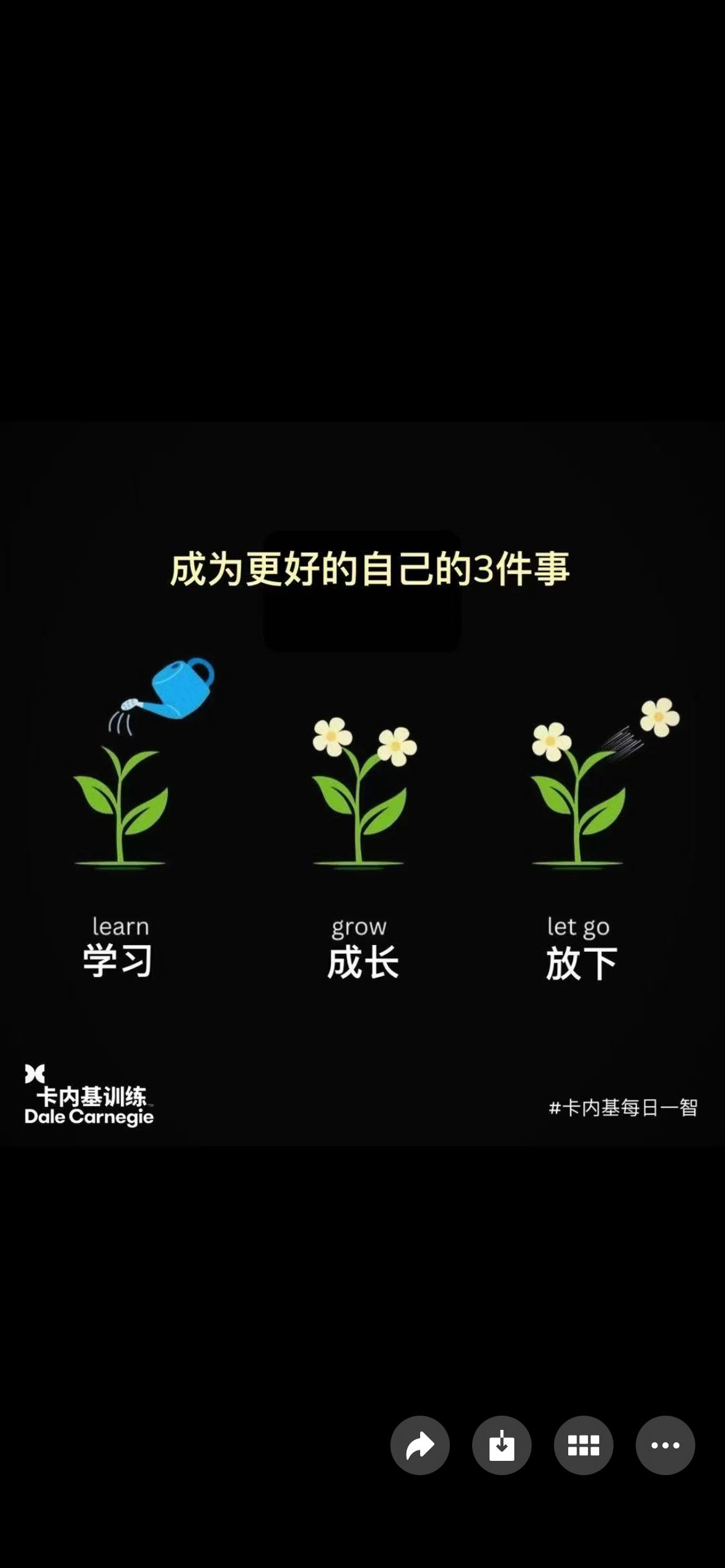 IMG_4017.png