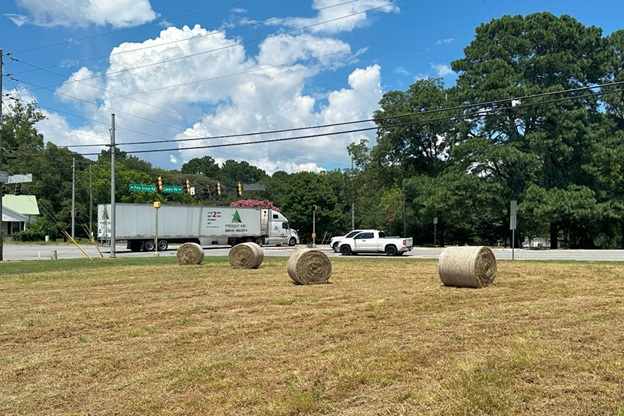 Bales_01.jpg