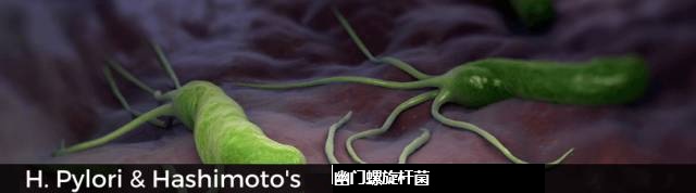 he'li'co'Pylori640.jpg