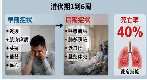 微信图片_20260509180946_1301_6.jpg