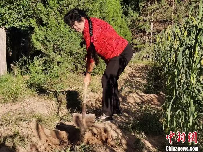 微信图片_20260520200126_1456_6.jpg