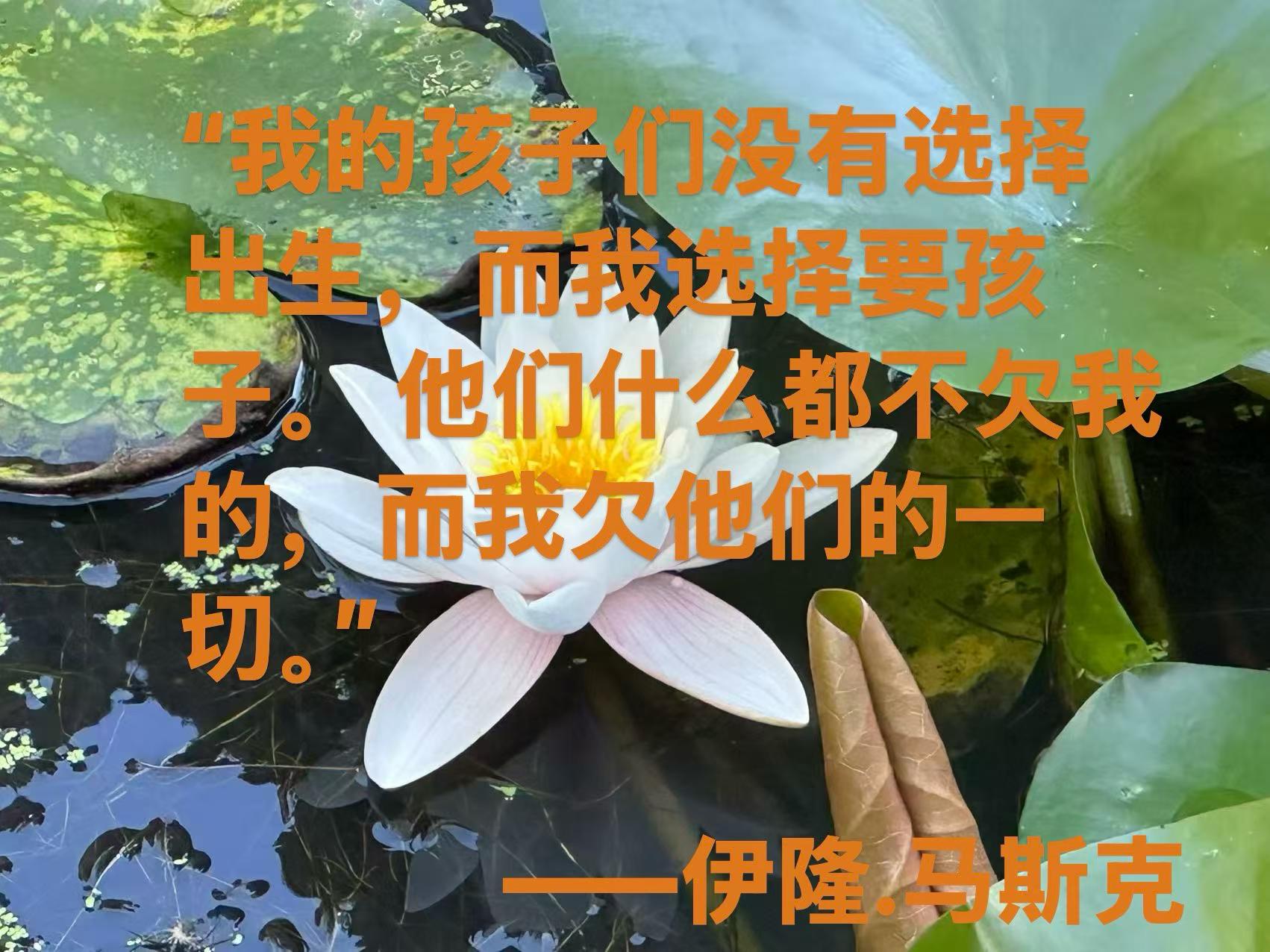 mmexport1782093446442.jpg