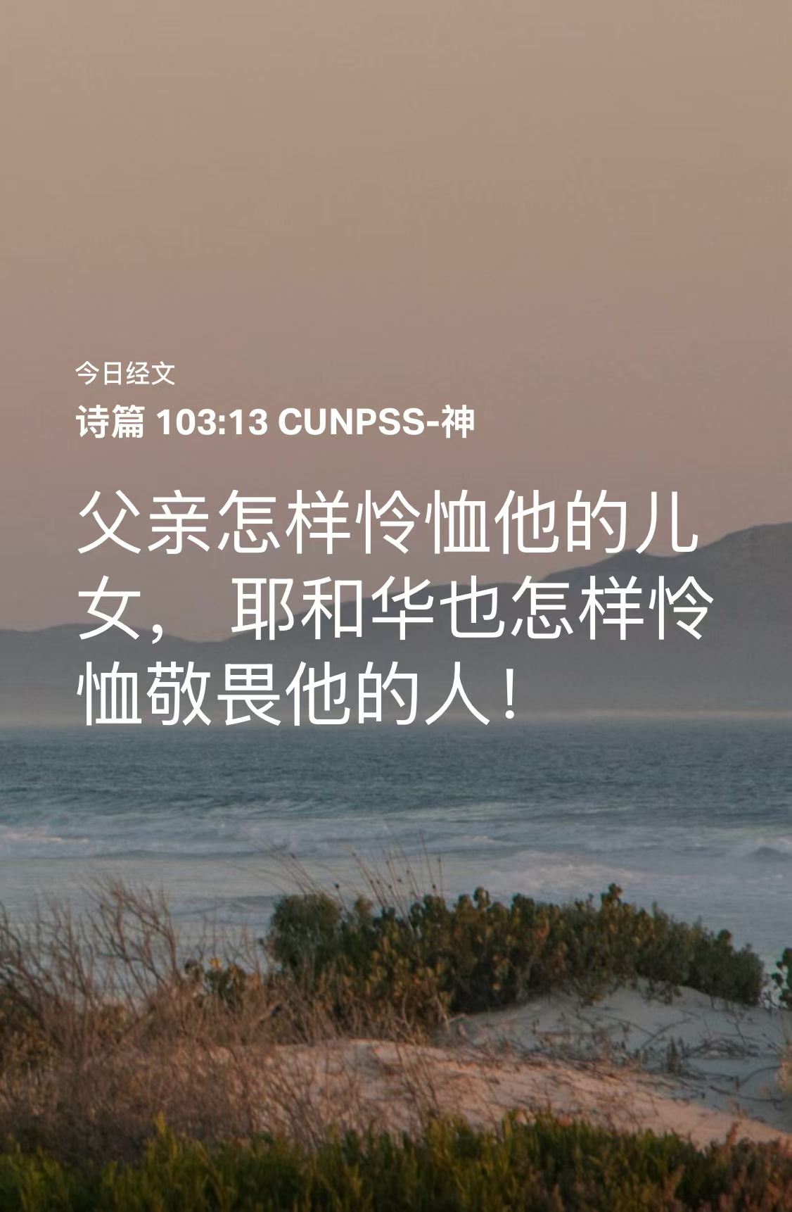mmexport1782093679553.jpg