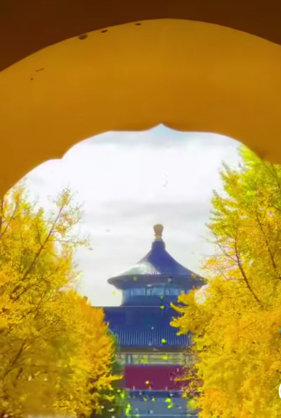 Screenshot_20260921_235459_Lite.jpg