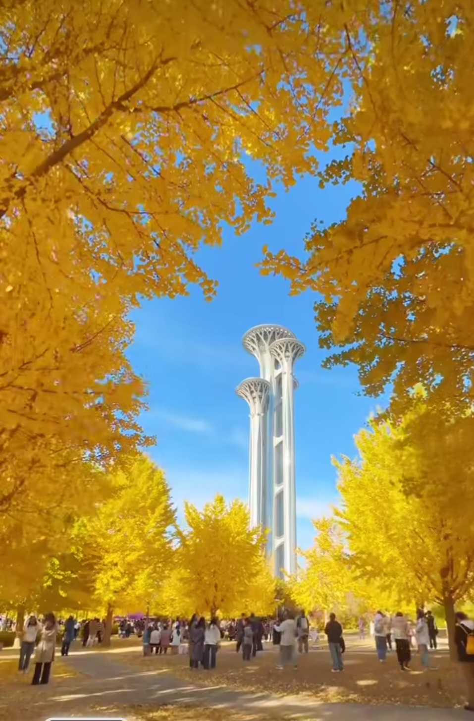 Screenshot_20260921_235456_Lite.jpg