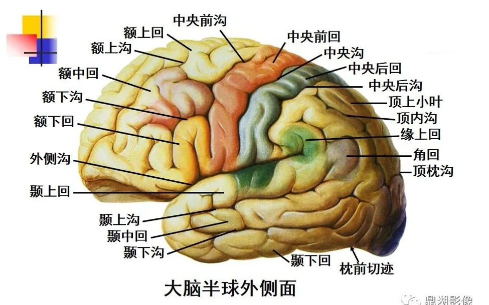 Neuroscience_04.jpg