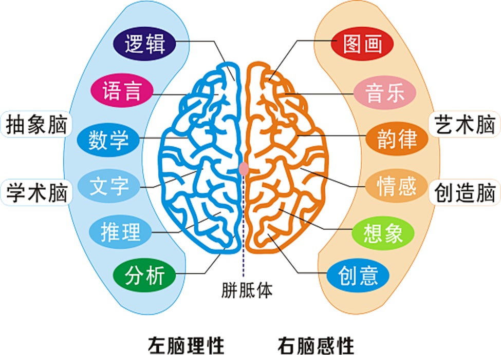 Neuroscience_11.jpg