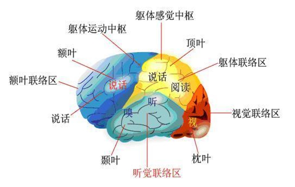 Neuroscience_06.jpg