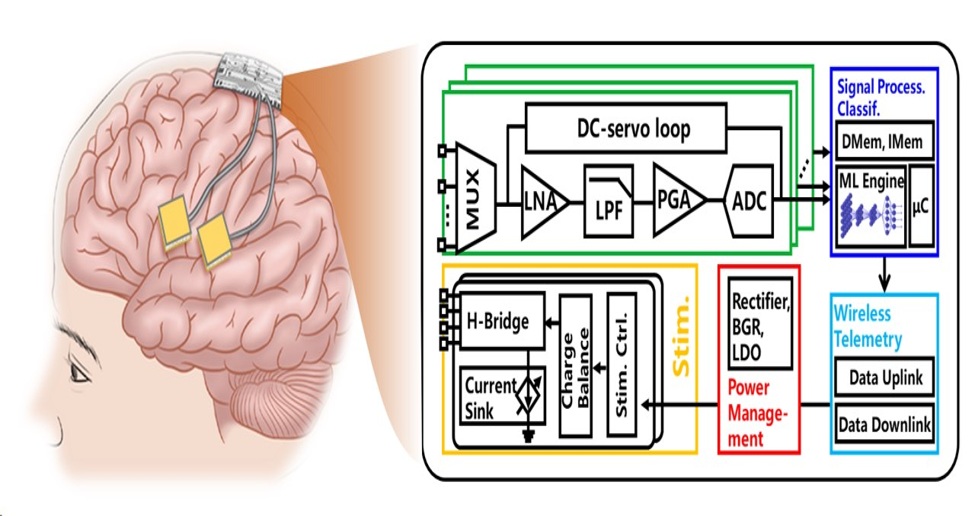 Neuroscience_17.jpg