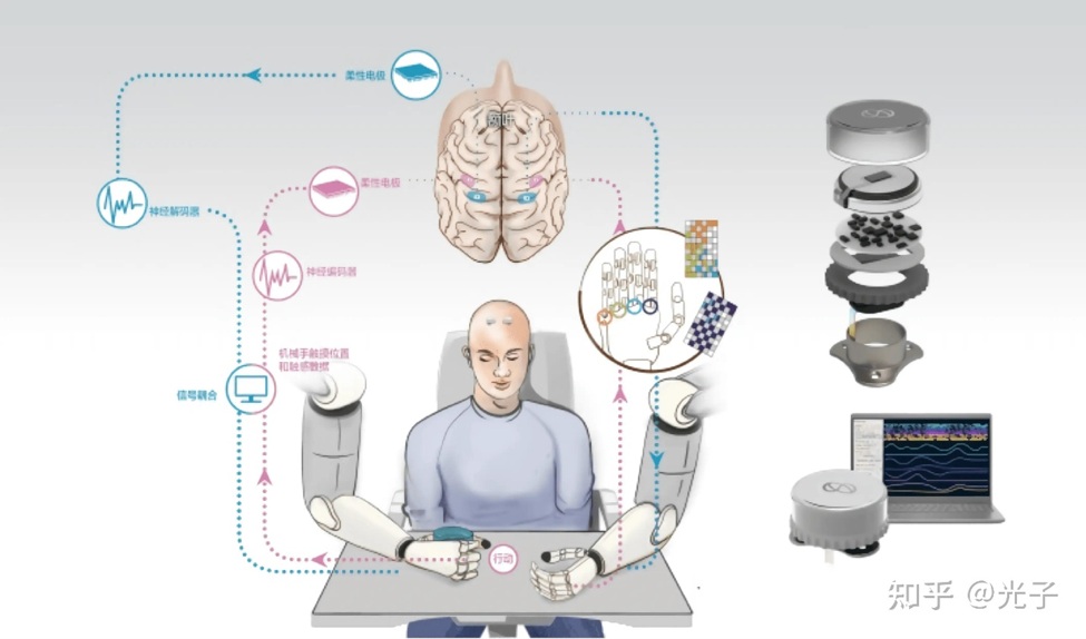 Neuroscience_15.jpg