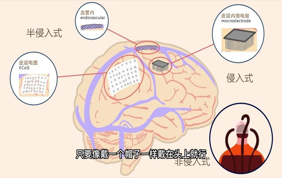 Neuroscience_20.jpg