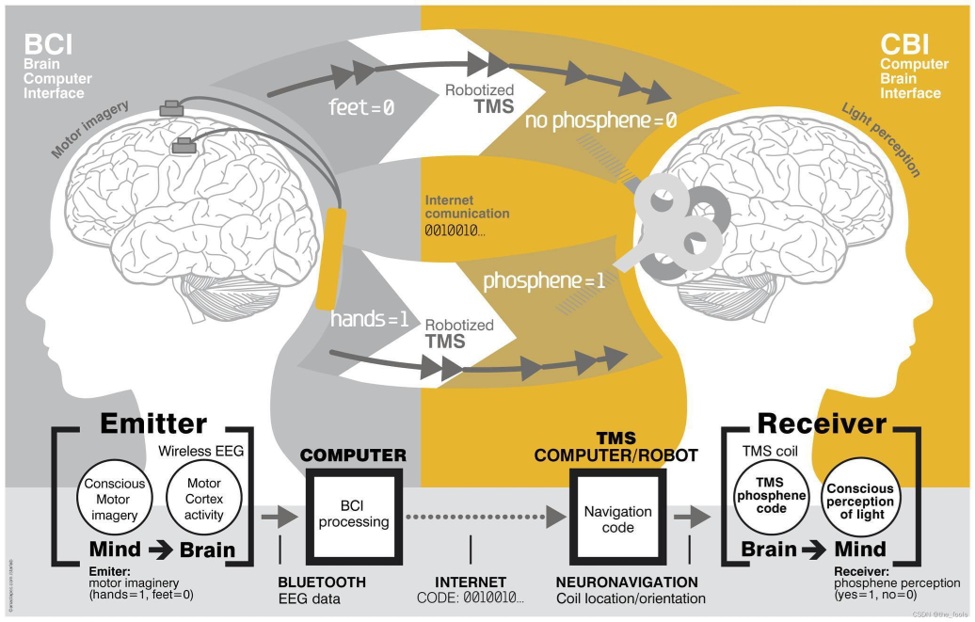 Neuroscience_16.jpg