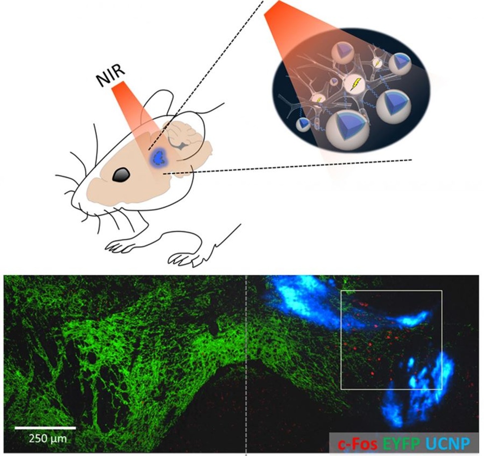 Neuroscience_24.jpg
